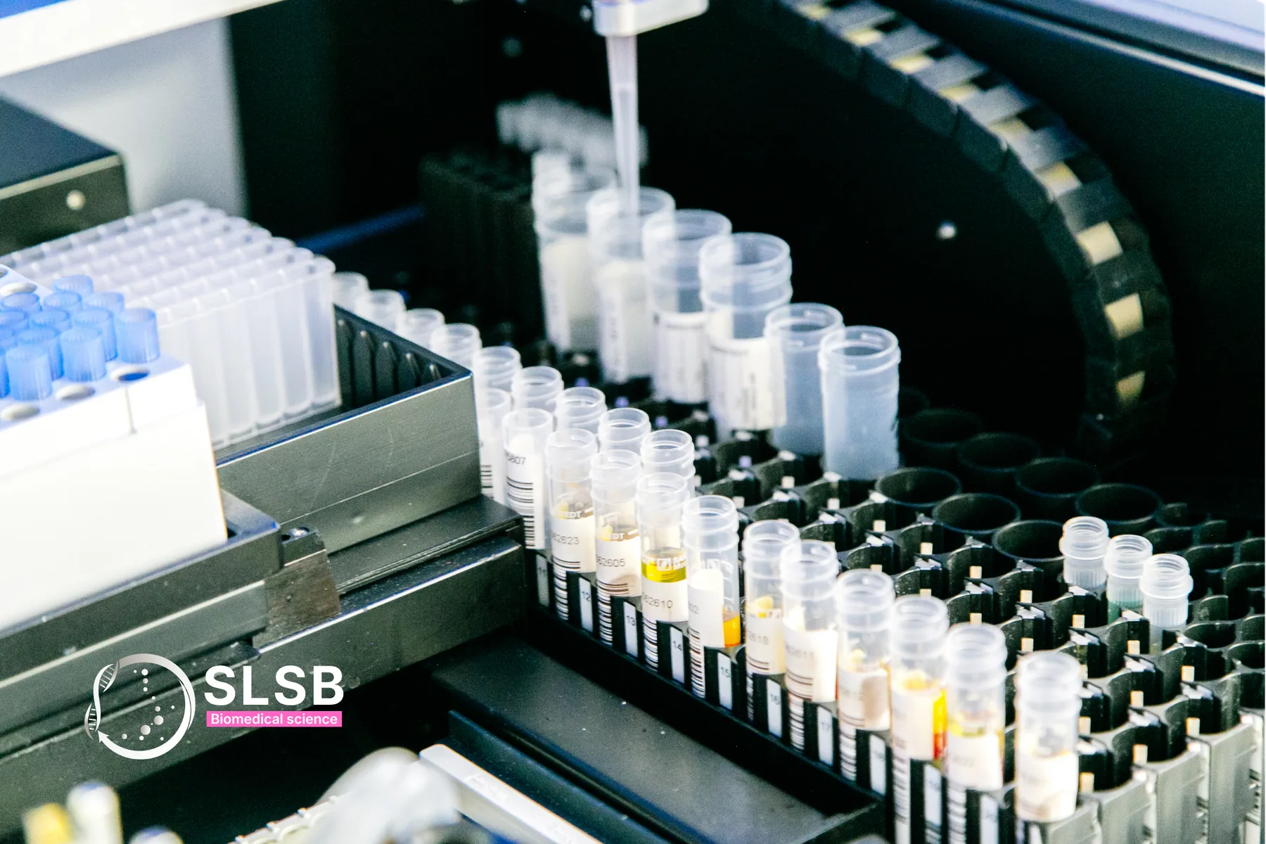 Biomedical Science